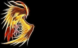 Yellow red bird feathers wings - its back free wallpaper