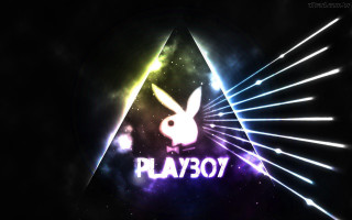Dark background bunny rabbit neon - the middle of it free wallpaper