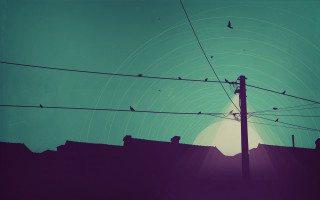 Bird telephone pole city night - full free wallpaper for desktop