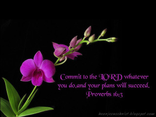 Purple flower bible verse black - dionisiu free wallpaper