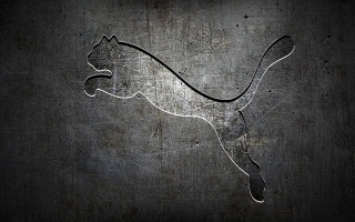 Black white cat running metal - free dogs wallpaper