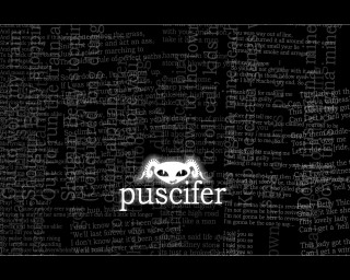 Puscifer black white skull photo - a white skull free wallpaper