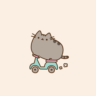Cat riding scooter bone mouth - its mouth free wallpaper