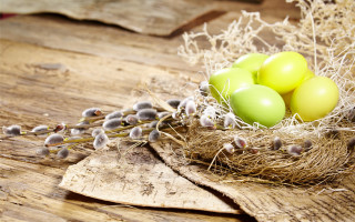 Nest eggs wooden table plant - a plant free wallpaper