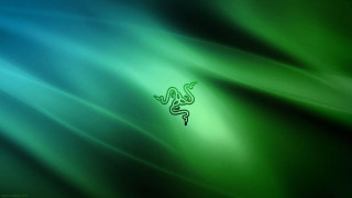 Green blue lizard side background - a lizard free wallpaper