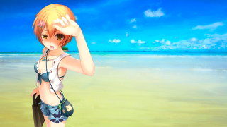 Girl bikini beach ocean camera - a girl in a bikini free wallpaper