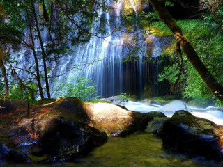 Waterfall forest rocks trees stream 12 - impressionist free wallpaper