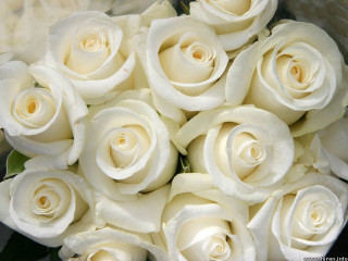 White roses bouquet rococo anna - a bouquet free wallpaper