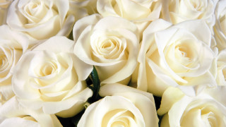 White roses bouquet arrangement floral - a bouquet free wallpaper