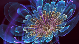 Blue flower purple center fractal - smaller free wallpaper