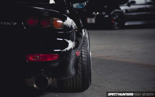 Black car white fur tail - end free wallpaper