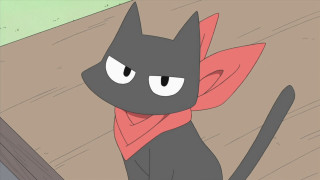 Black cat red scarf wooden - a bookcase free wallpaper