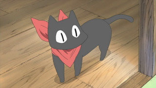 Black cat red scarf wooden 2 - a wooden floor next free wallpaper