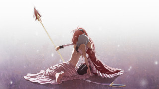 Woman long dress holding flag - a long dress holding free wallpaper