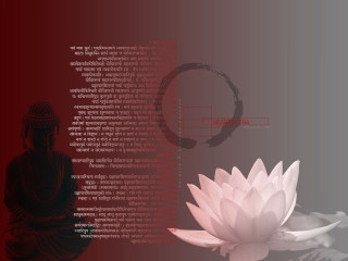 Pink lotus buddha red background - text free wallpaper