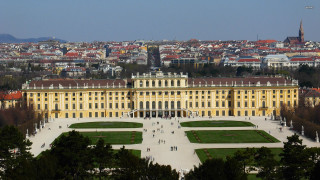 Large building windows grass trees - architecture free wallpaper