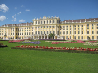 Large building lawn flowers blue - viennese actionism free wallpaper