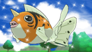 Goldfish white tail black eyes - a white tail free wallpaper