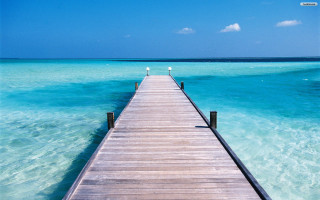 Pier ocean bird sitting water - end free wallpaper