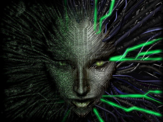 Green black cat glowing eyes - cat free wallpaper