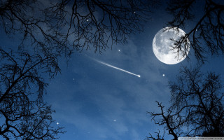 Plane flying sky forest night - a moon in the background free wallpaper