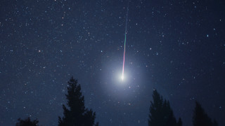 Bright object sky trees night - david boyd free wallpaper