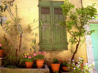 Green window shutter door plant - impressionist painting free wallpaper