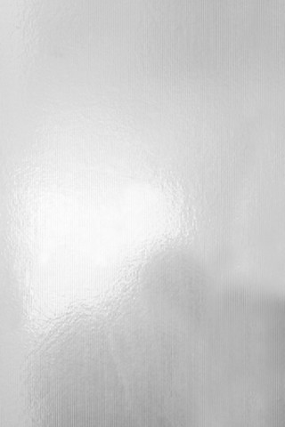 White wall black white cat 5 - the wall free wallpaper