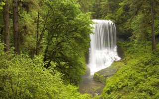 Waterfall forest stream trees people - a waterfall in the middle of a forest free wallpaper