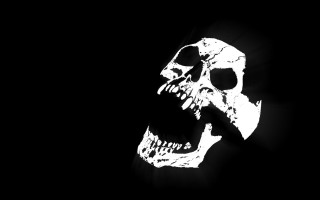 Skull black background white outline - bedwyr williams free wallpaper