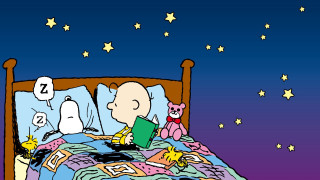 Cartoon person reading book bed 3 - charles schulz free wallpaper