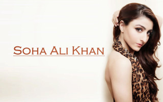 Woman leopard print dress ponytail - promotional image free wallpaper