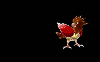 Red yellow rooster black background - holography free wallpaper