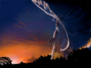 Bird flying night sky orange - orange glow free wallpaper