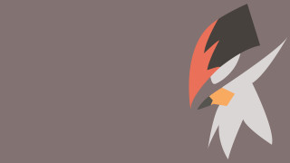 Bird red beak black head - a red beak free wallpaper