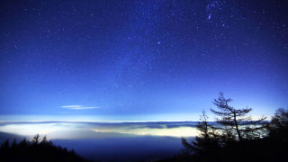 Night sky stars clouds trees - night sky free wallpaper