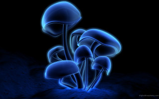 Blue mushrooms dark background blue - psychedelic free wallpaper