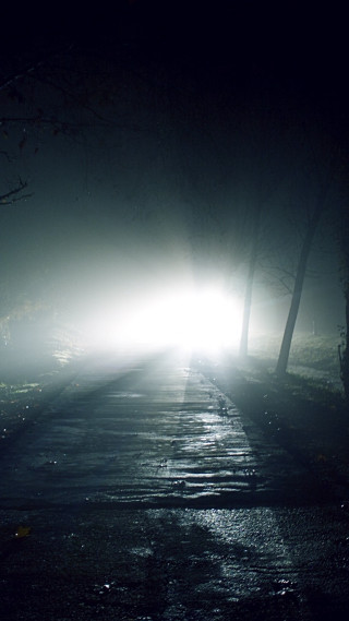Foggy road car night light - night time free wallpaper