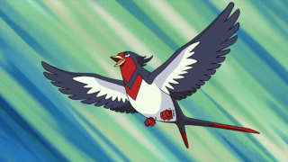 Red beak white wings flying - baiōken eishun free wallpaper