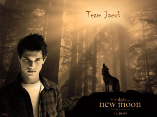 Man forest wolf back new - a forest free wallpaper