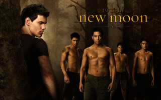 Group men forest new moon - everett warner free wallpaper