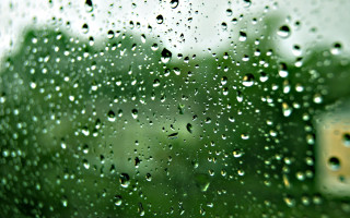 Rain covered window house trees 2 - a microscopic photo free wallpaper