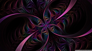 Purple flower black background pink - a computer free wallpaper