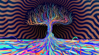 Psychedelic tree background wave pattern - the wall behind free wallpaper