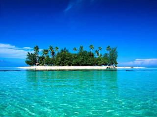 Small island palm trees clear - a small island free wallpaper