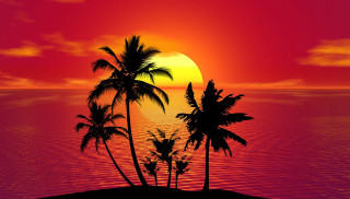 Sunset palm trees ocean red - felipe seade free wallpaper
