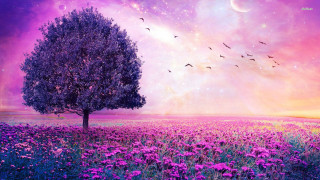 Tree flower purple sky stars - overhead free wallpaper