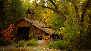 Wooden building trees foliage fall 2 - a wooden building free wallpaper