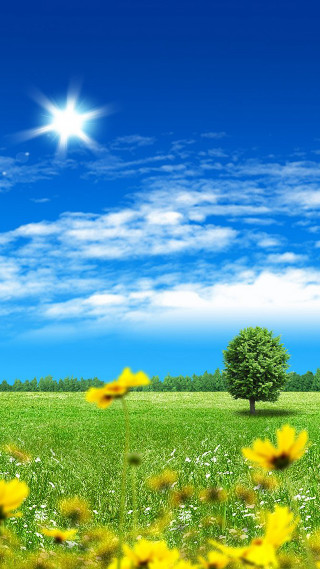 Field tree blue sky clouds 3 - the foreground free wallpaper