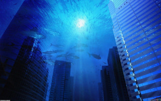 Fish swimming water city night - a large body of water free wallpaper